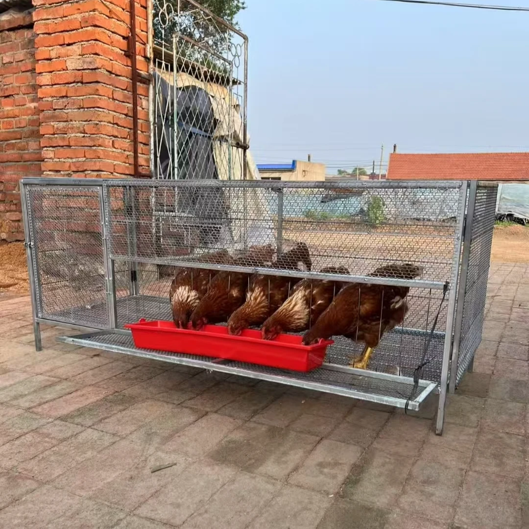 家用加厚大号鸡笼防鼠加密适合养殖家禽使用