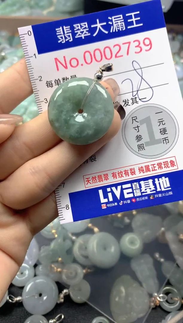 颈饰未镶嵌翡翠2739
