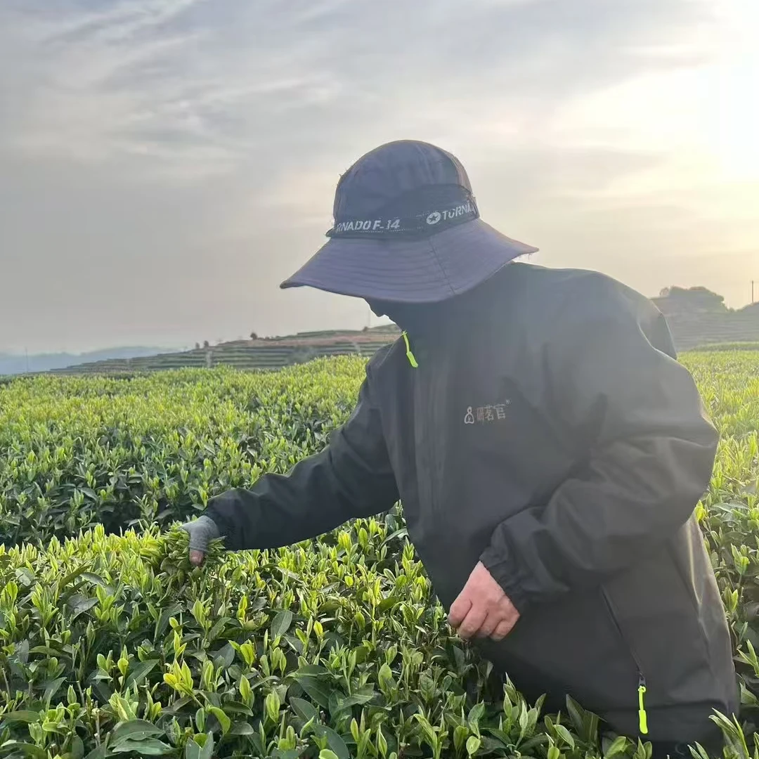 【研茗官】 2025年火焙白牡丹 250g/500g
