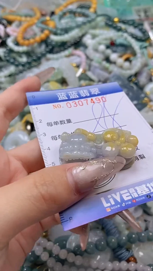 翡翠未镶嵌颈饰闪购0307490