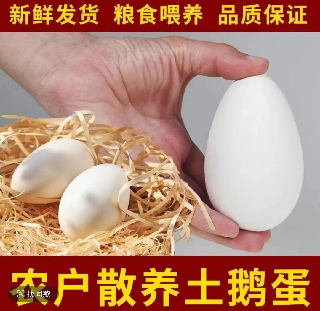 【买6枚送6枚】农家散养鹅蛋现捡现发到手12枚 番茄推荐