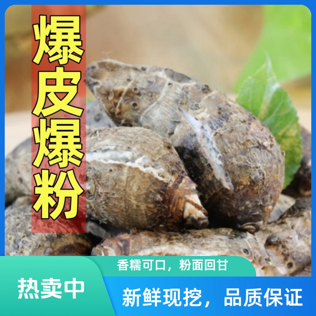 正宗乐昌芋头仔新鲜小香芋仔香粉糯原产地直发2斤新店试吃福利款