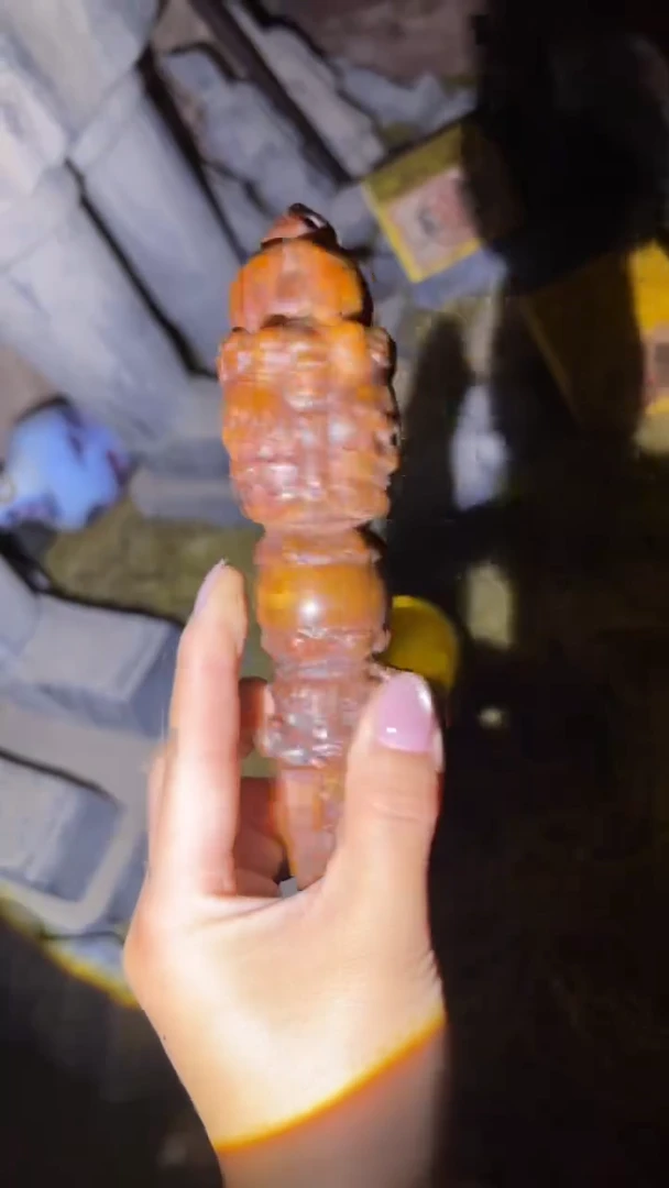 琪琪专属精品链接