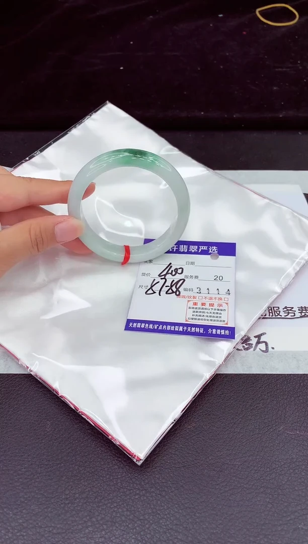 未镶嵌手镯翡翠1