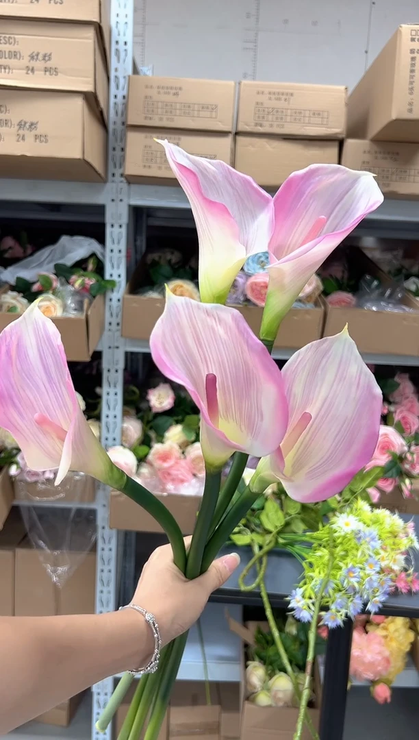 5枝粉色马蹄莲组合