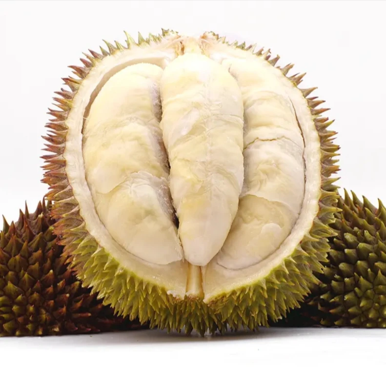 马来西亚野生甘榜榴莲 液氮树熟榴莲 果肉奶白 果核偏大