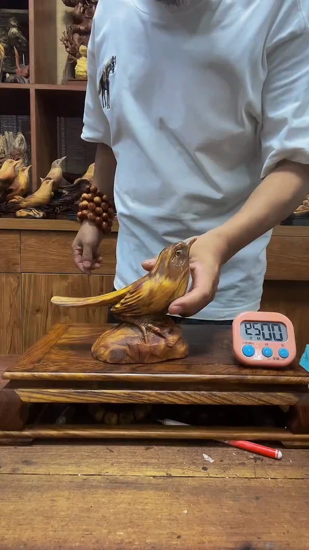 松木旅***七 定向 旅行家小七