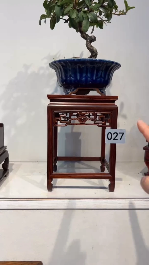 【闪购商品】紫砂1紫砂紫砂紫砂紫砂紫砂