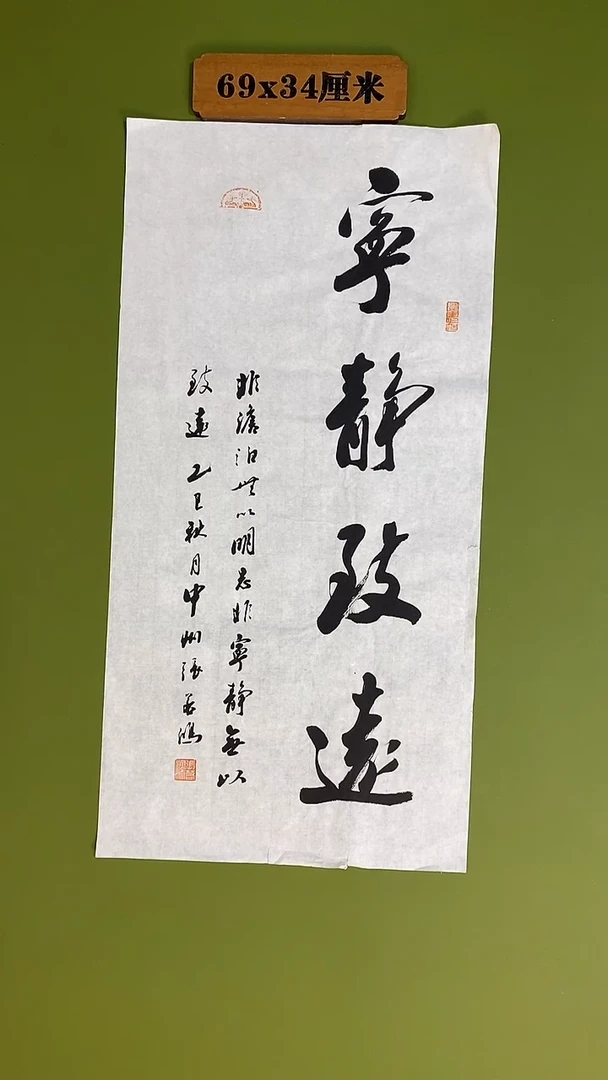 书法书法 张若鸿 尺寸69cm*34cm