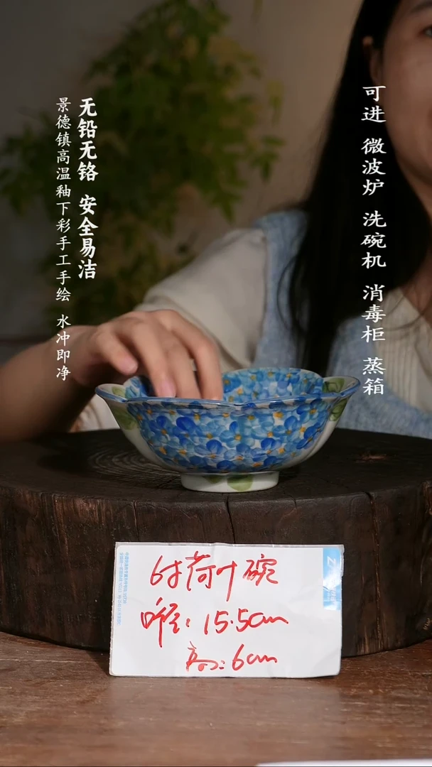 碗陶瓷景德镇高温瓷釉下彩手绘陶瓷
