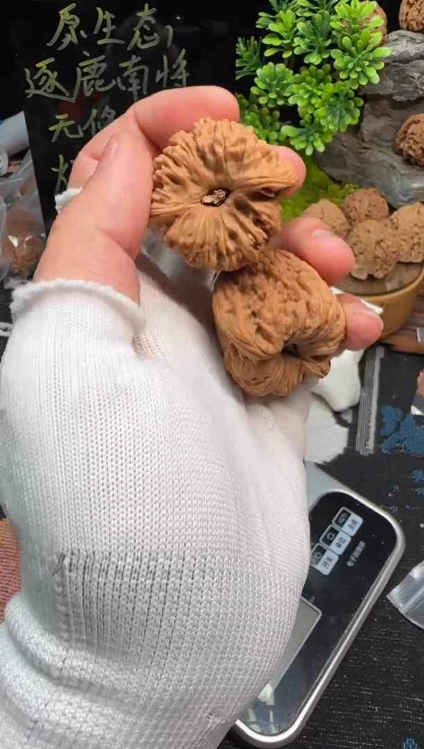 【闪购商品】文玩核桃把件南将石