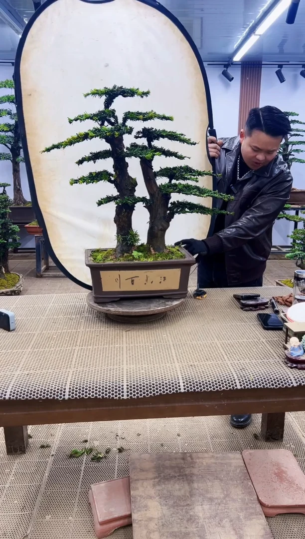 【闪购商品】00000000