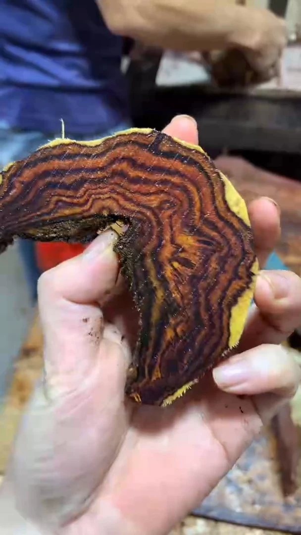 黄花梨/降香黄檀手串2.0海南黄花梨定制