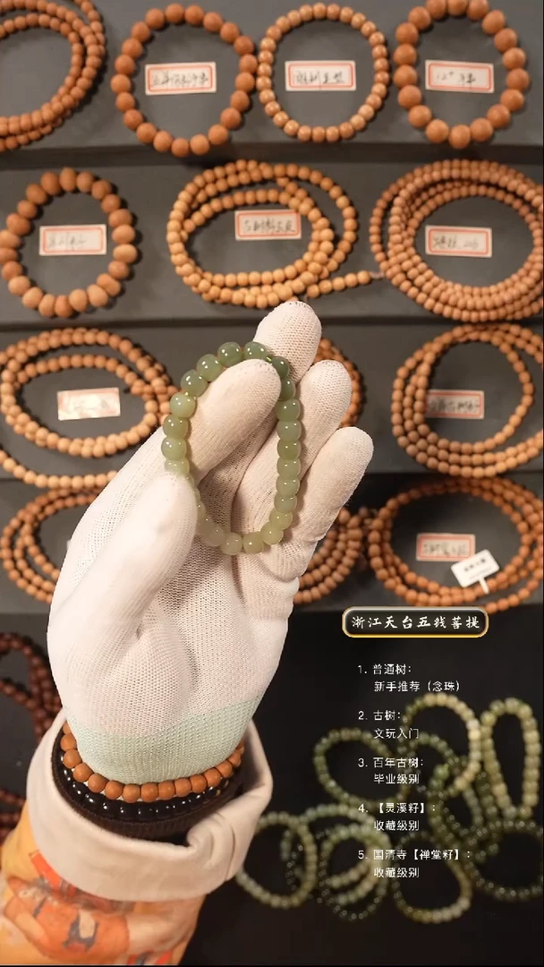 【闪购商品】五线菩提吊坠手串