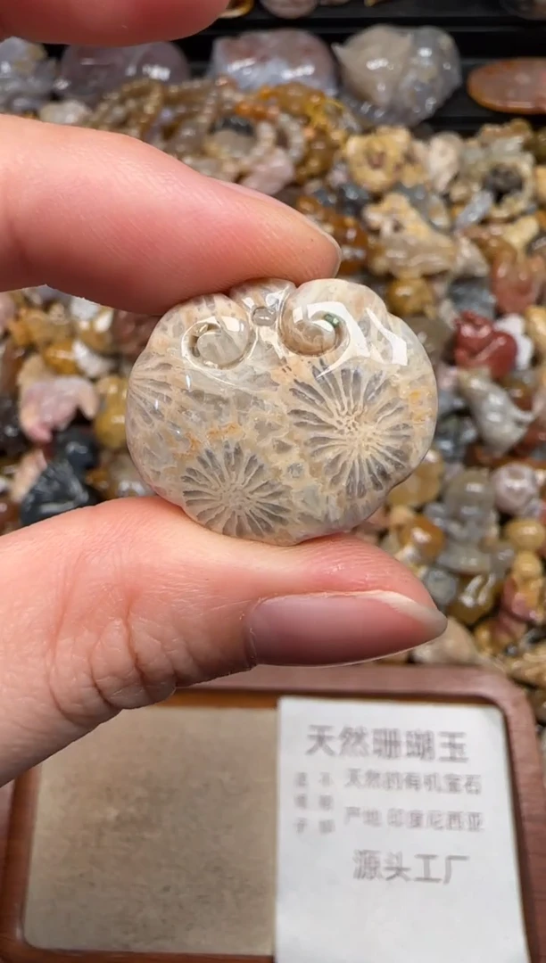 硅化珊瑚（珊瑚玉）未镶嵌颈饰245