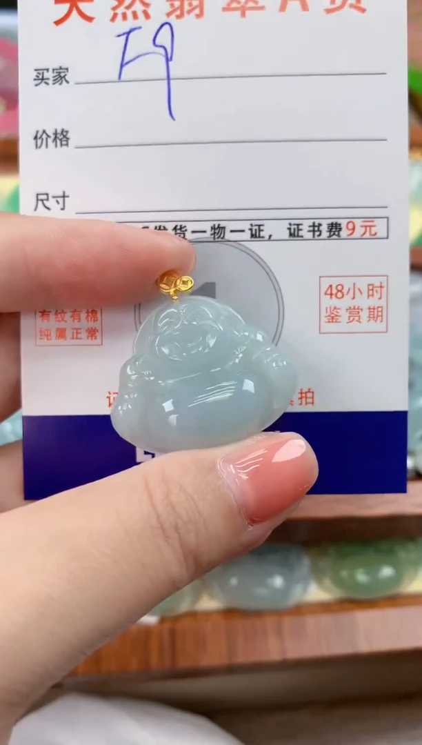 颈饰未镶嵌翡翠天然A货翡翠挂件