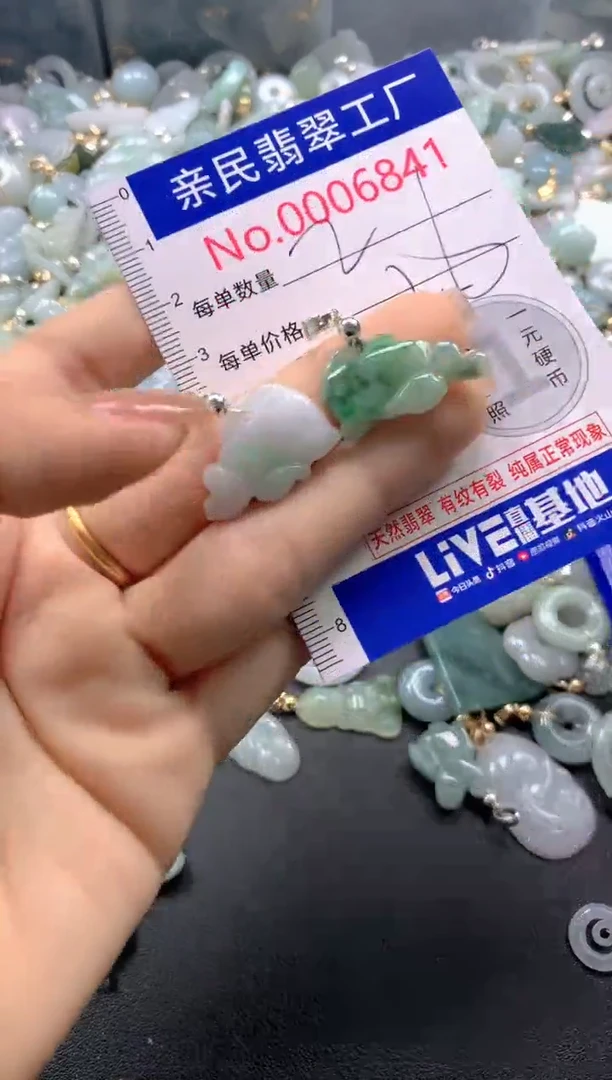 颈饰未镶嵌翡翠6841