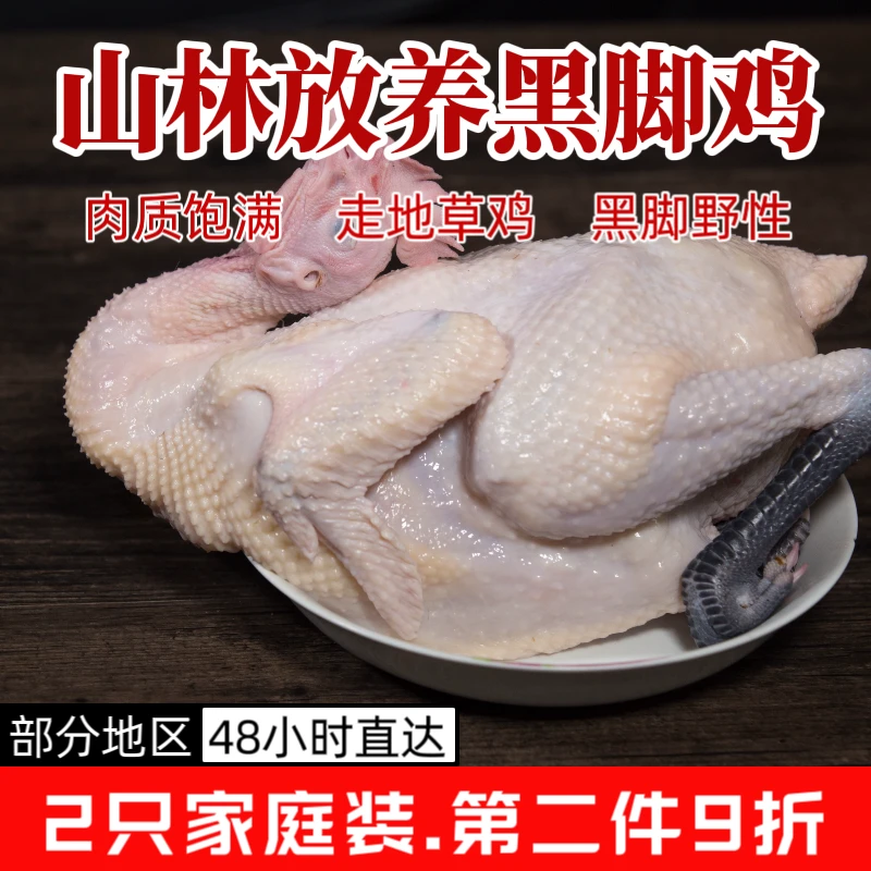 新鲜青脚麻鸡2只装农家黑爪土鸡白条笨鸡速冻草鸡餐饮生态散养