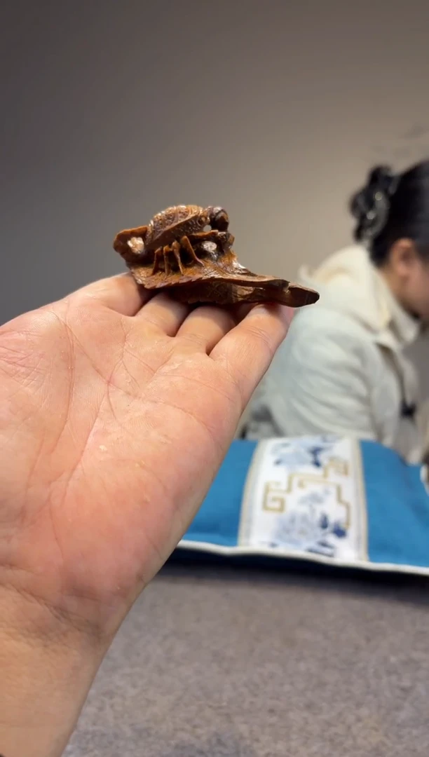 木子**方贡木贡木贡木