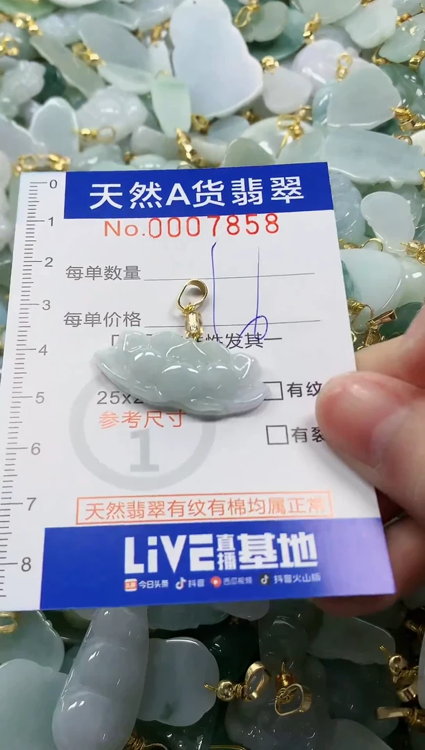 颈饰未镶嵌翡翠纯天然a货翡翠