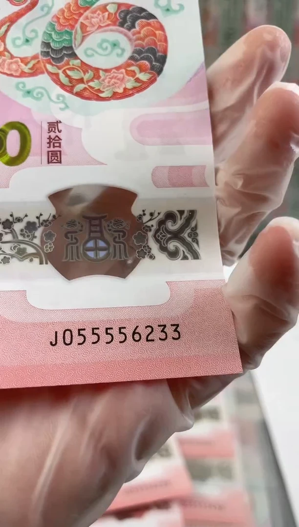 【闪购商品】塑料蛇钞九龙令5个5头尾号6233