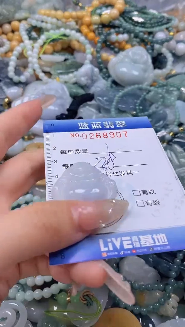 翡翠未镶嵌颈饰闪购0268907多样性发其一