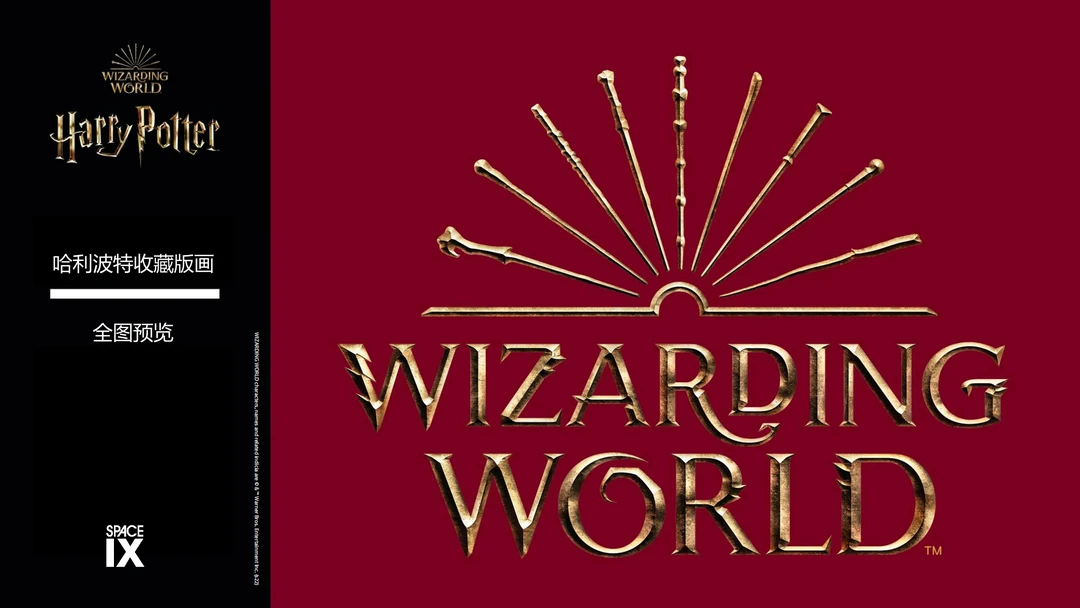 SPACEIX 哈利波特带框版画 收藏卡（代拆）