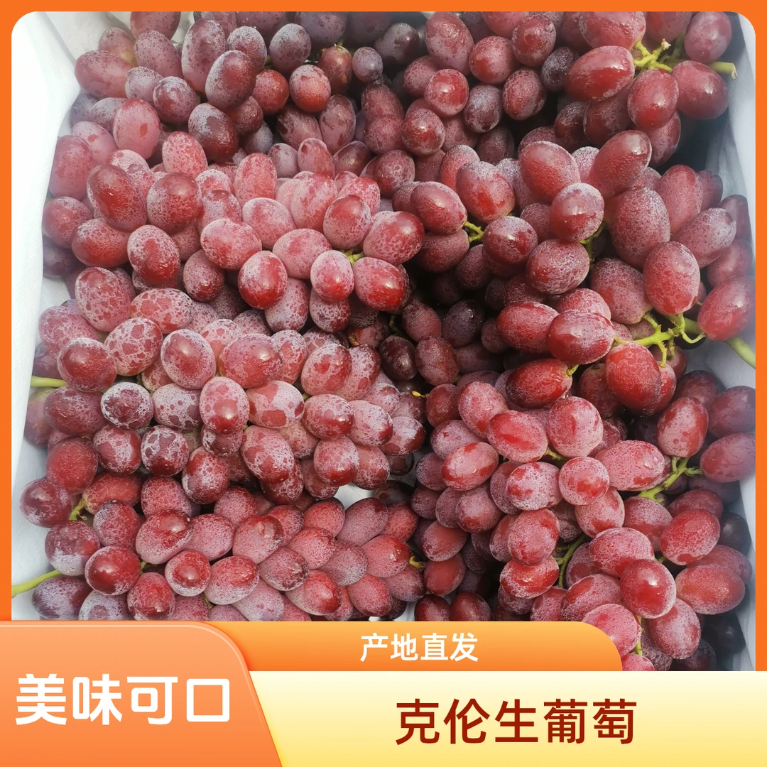 克伦生无籽葡萄约1斤新鲜云南省