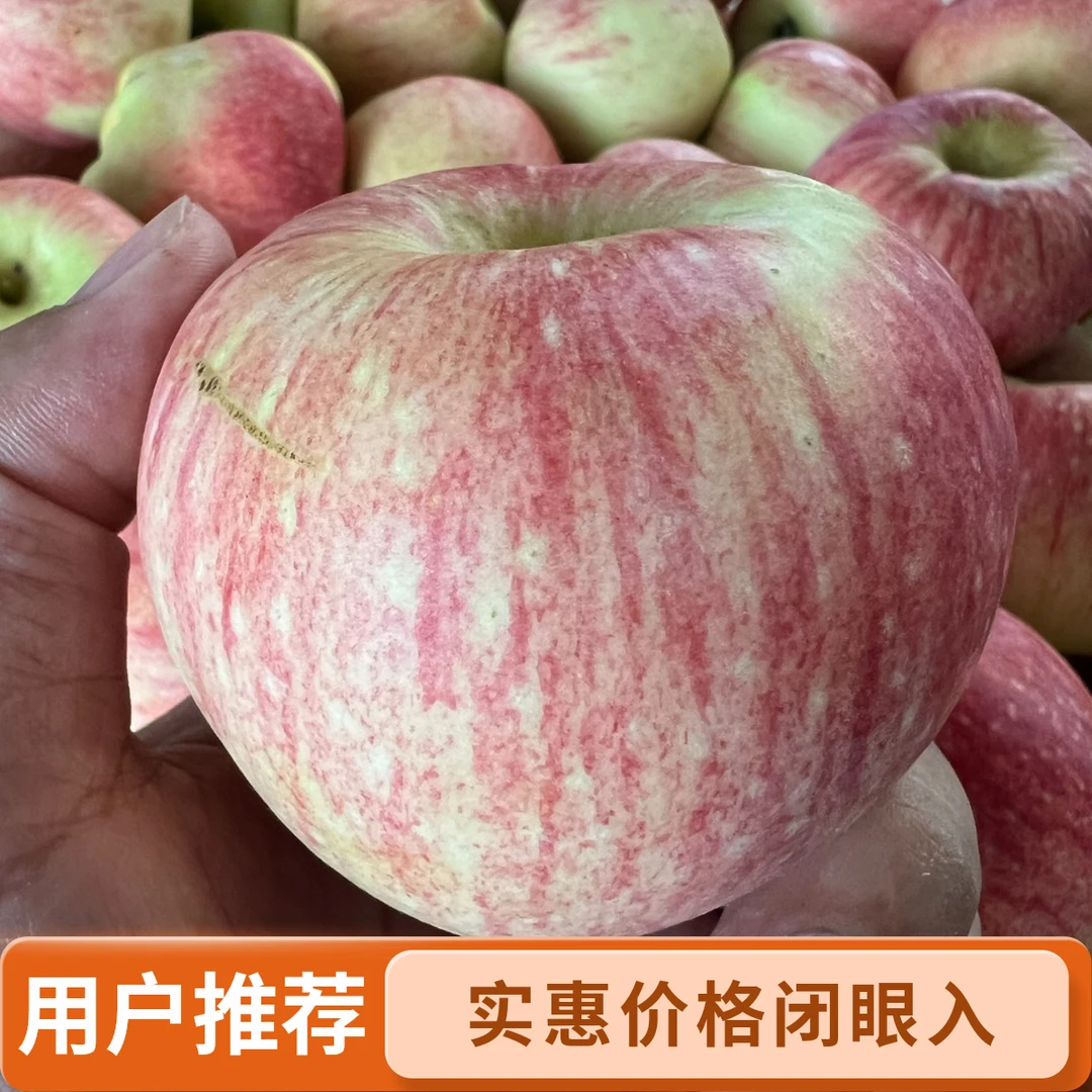 农小匠伏苹果新鲜水果纯甜无酸孕妇宝辅食非王林莫里斯苹果