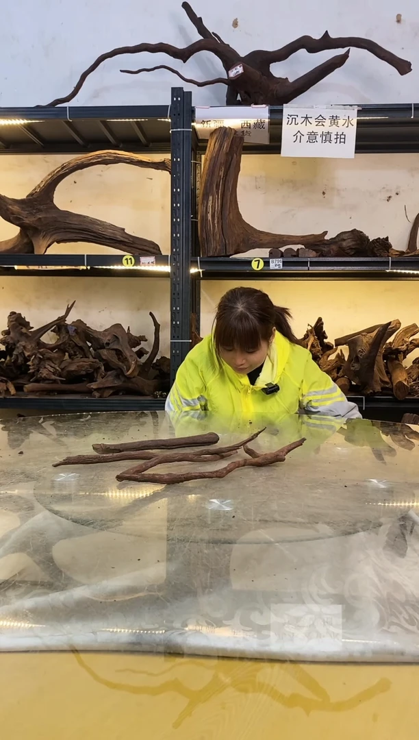 【闪购商品】柚木木艺鱼缸造景沉木954