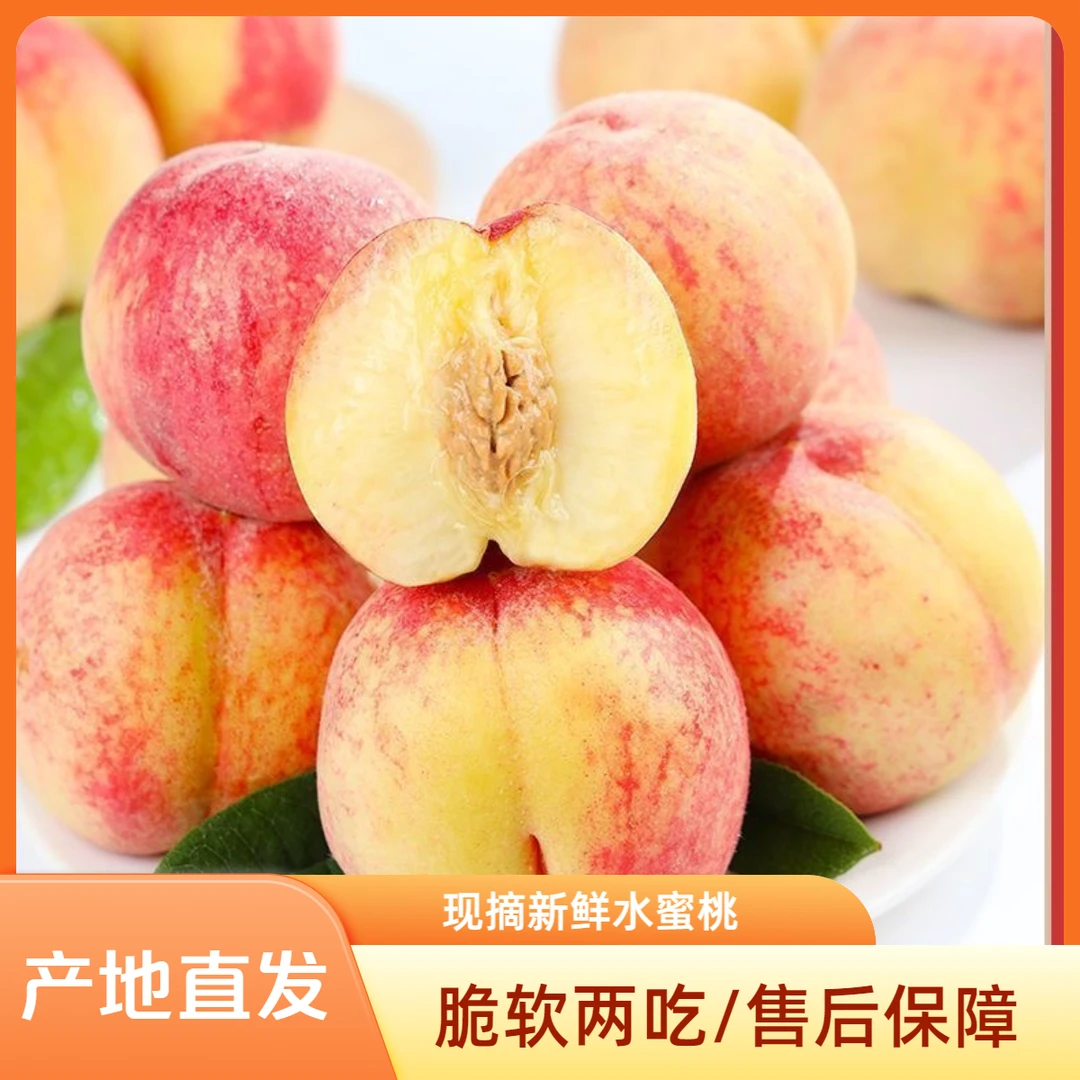 【顺丰包邮/礼盒】春美水蜜桃礼盒装山西运城产地现摘现发毛桃特大
