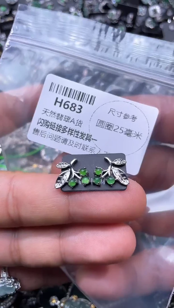 【闪购商品】翡翠颈饰未镶嵌H683耳钉