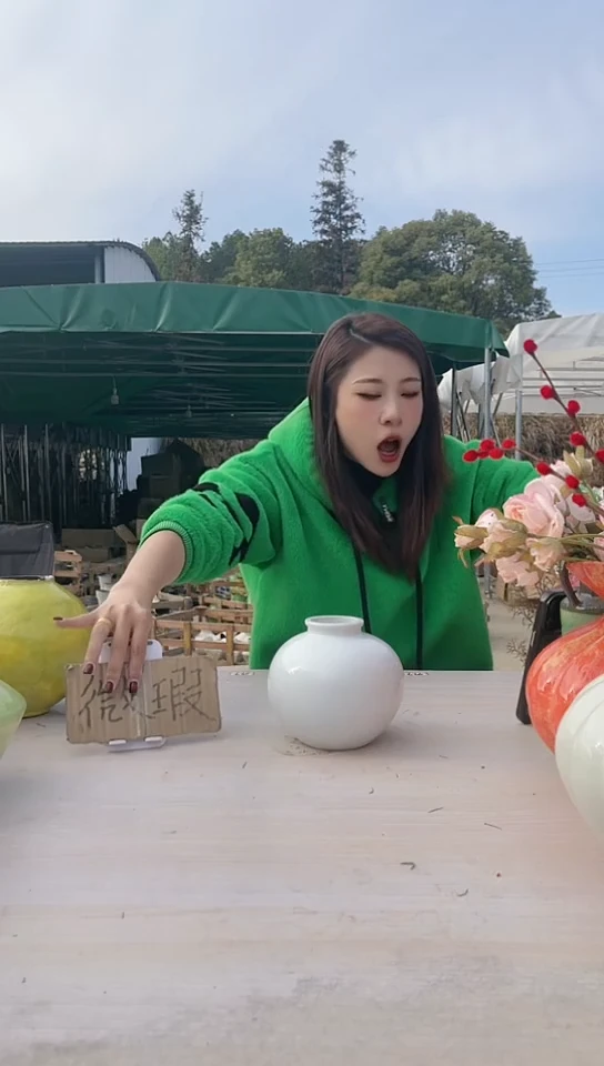 【闪购商品】陶瓷景德镇手工微瑕介意勿拍