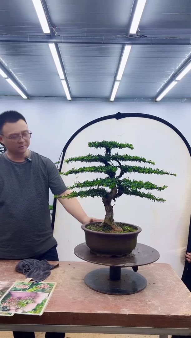 无花朵一物一拍，所见即所得