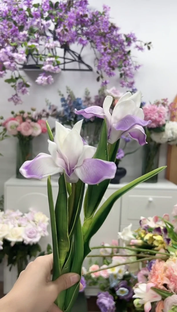 阳*2枝紫色鸢尾花花（瑕疵不售后）