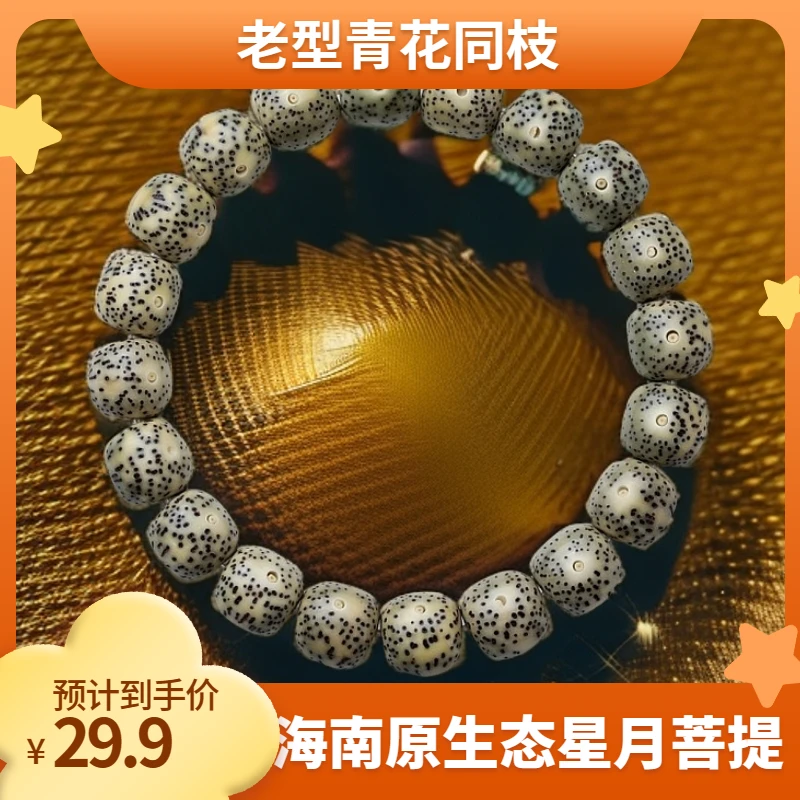 【盘塔出品】海南石玉料天然星月菩提同枝青花老型菩提子（适合新手）