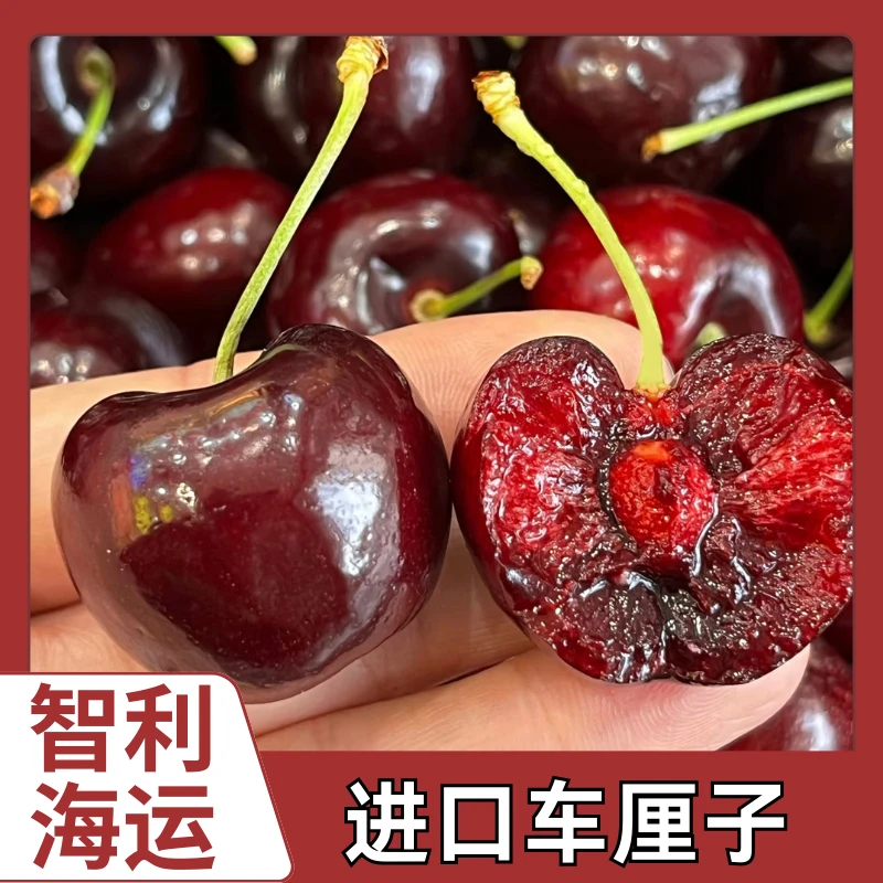 【5斤原箱】顺丰京东发货 海运智利桑提娜车厘子J/JD内附果径卡W0