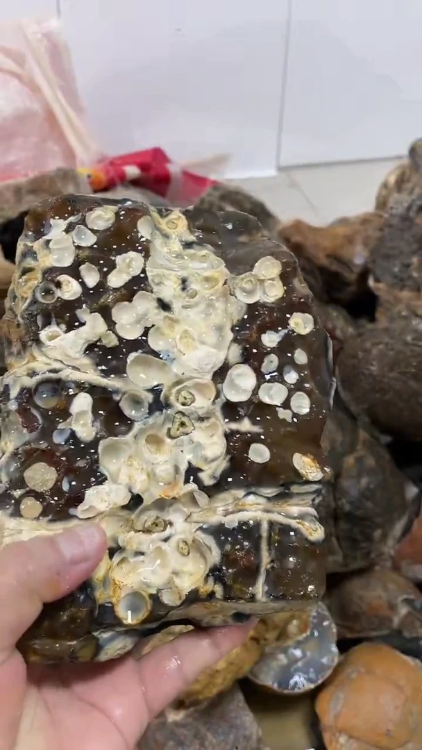 合金玛瑙原石玛瑙/玉髓逍*哥玛瑙原石