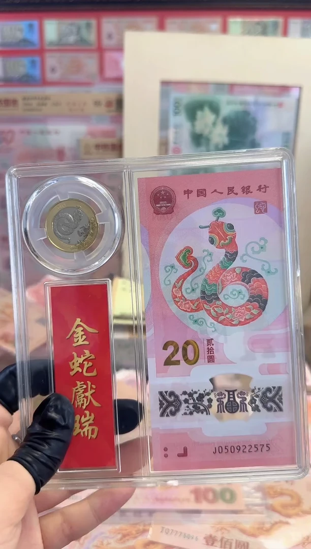 塑料生肖蛇钞蛇币组合哈哈哈