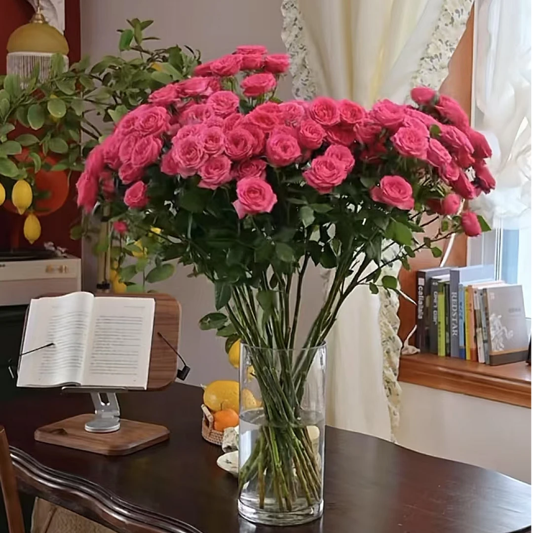 [苏菲宝贝多枝玫瑰20朵花苞] 京东包邮