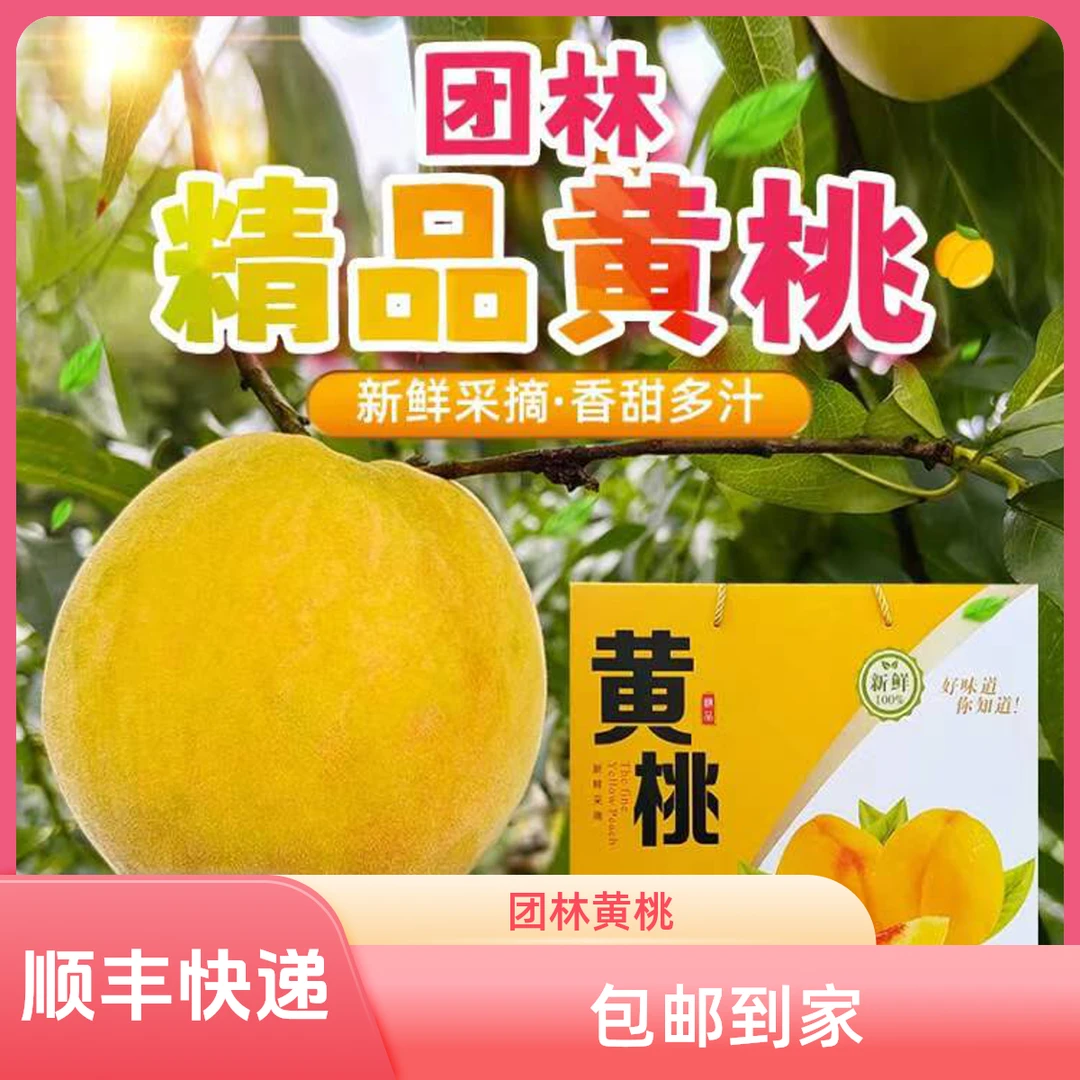 团林甜蜜精品黄桃整箱(含箱重)筠连特产锦绣黄桃新鲜采摘香甜多汁