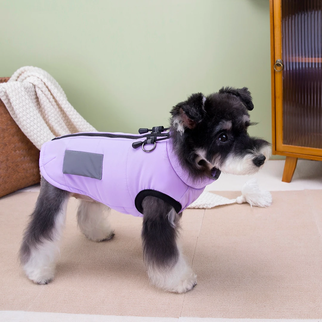 金冠宝贝2025新品两脚棉衣秋冬款休闲糖果色马甲防风保暖泰迪博美