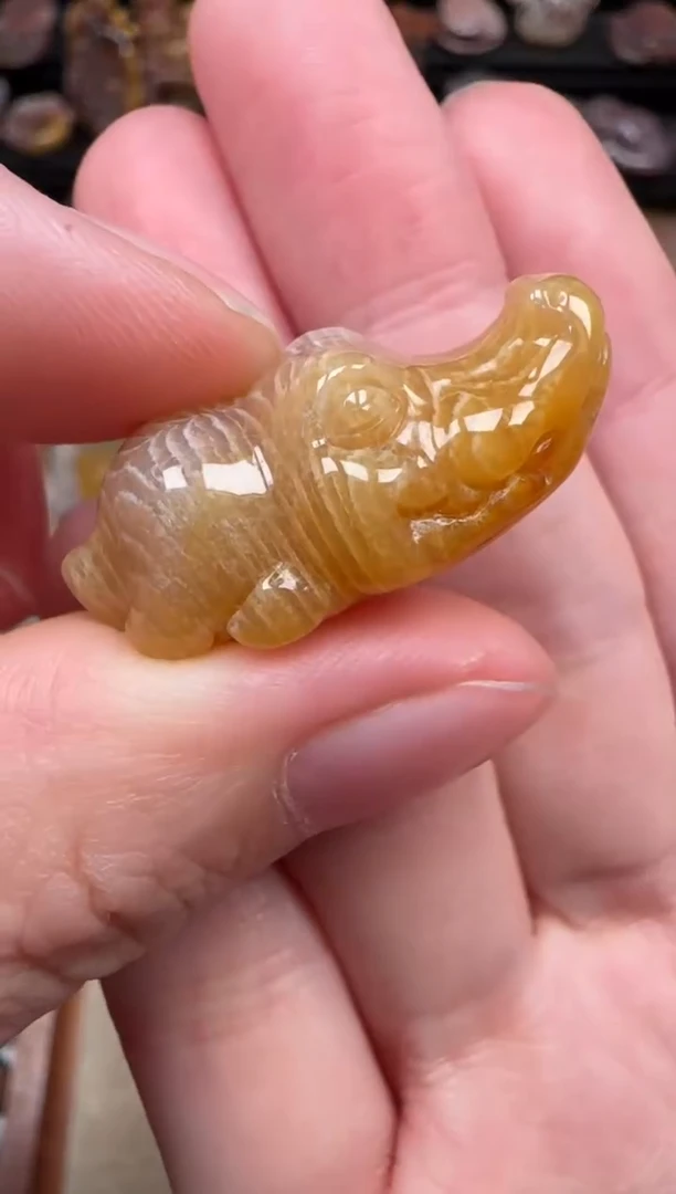 颈饰未镶嵌硅化珊瑚（珊瑚玉）684
