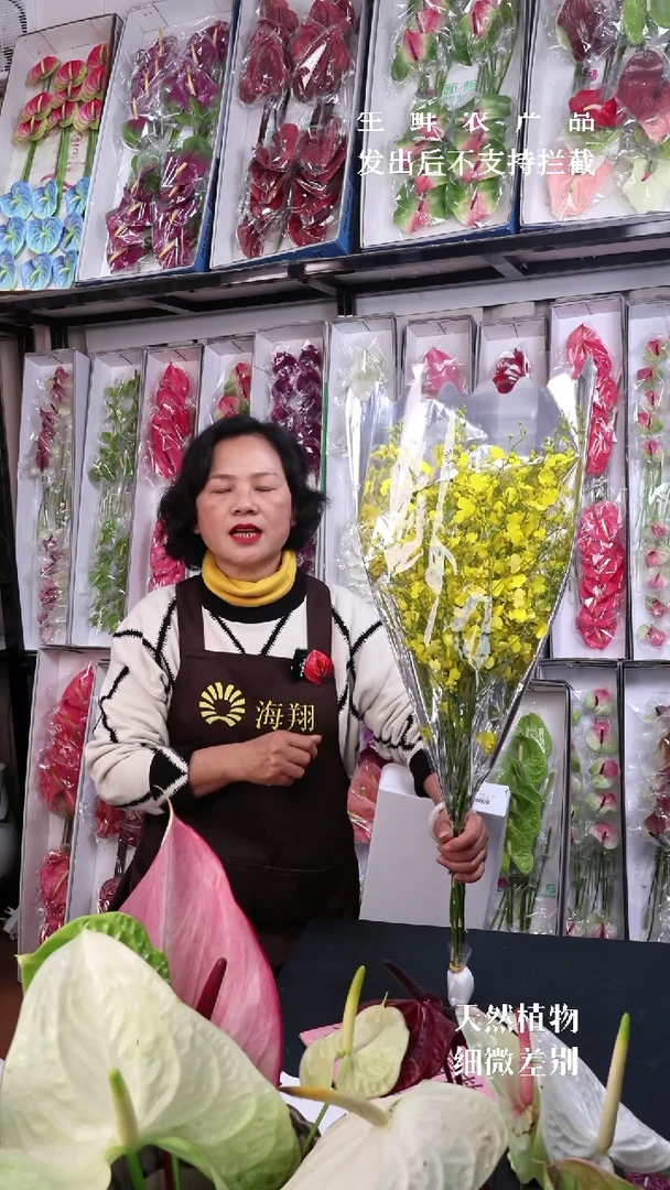 大*爱B级跳舞兰1束