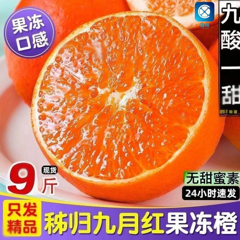 新鲜九月红果冻橙秭归脐橙10斤大果孕妇水果当季整箱甜橙手剥橙子