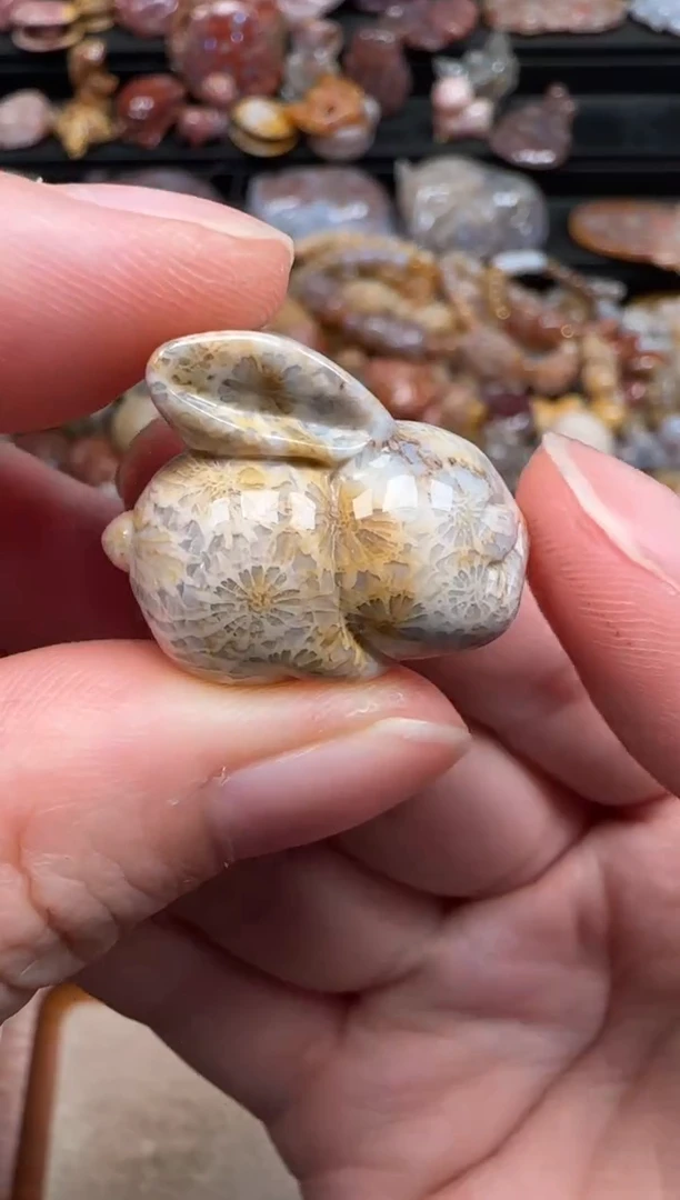 硅化珊瑚（珊瑚玉）未镶嵌颈饰786