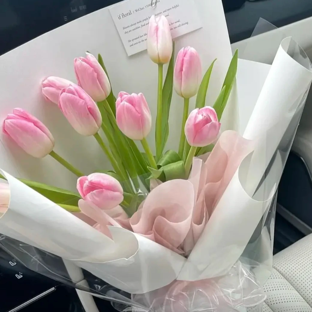 郁金香鲜花5支 家养鲜花