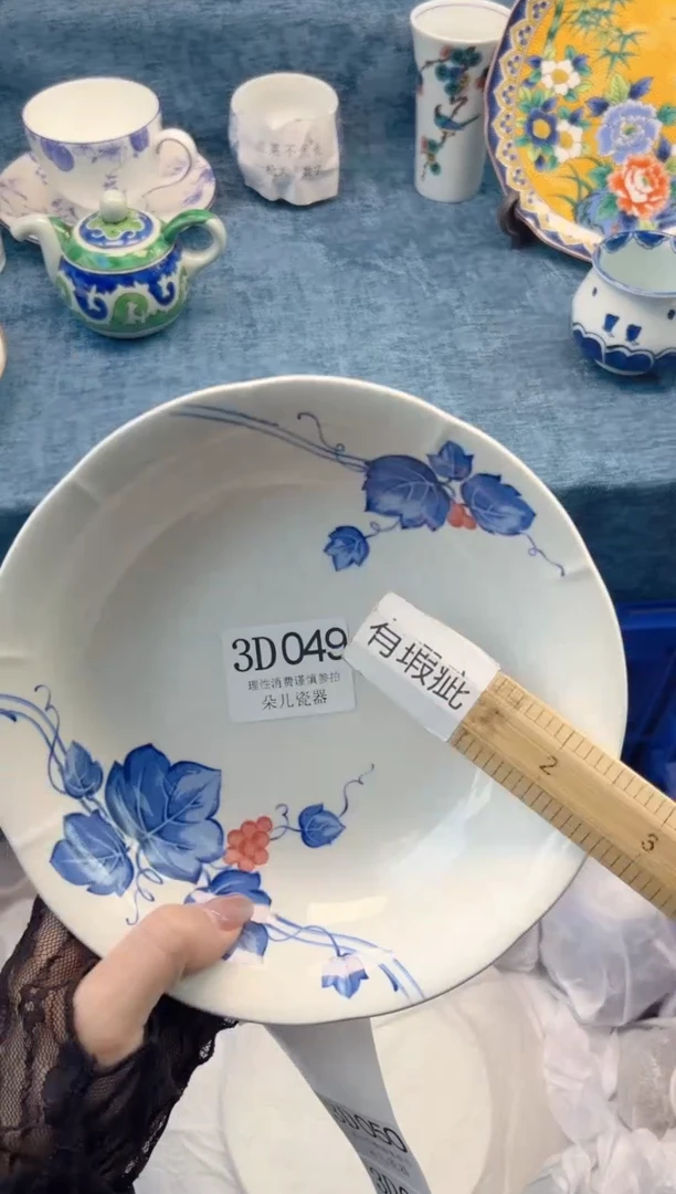 瓷片         3D049