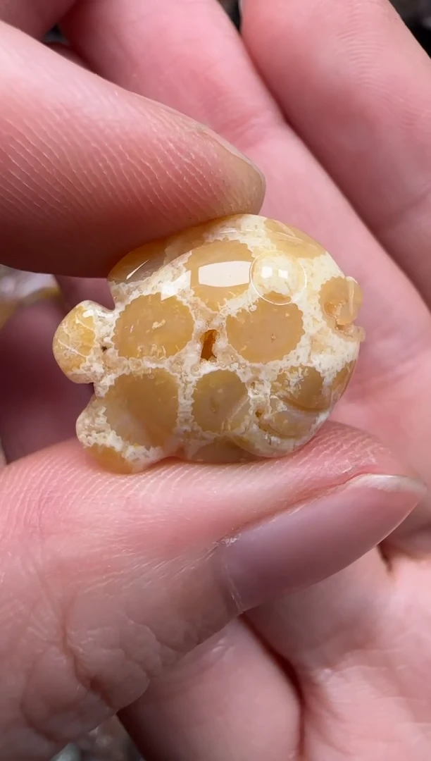 硅化珊瑚（珊瑚玉）未镶嵌颈饰104