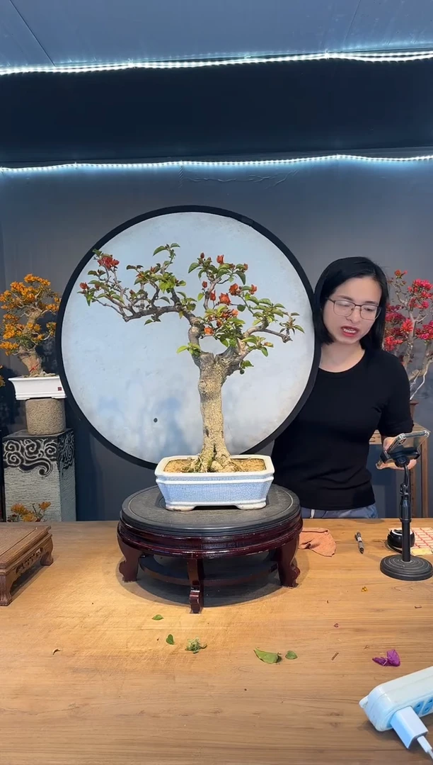 【闪购商品】雨伞   同安红